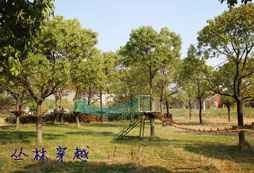 叢林穿越