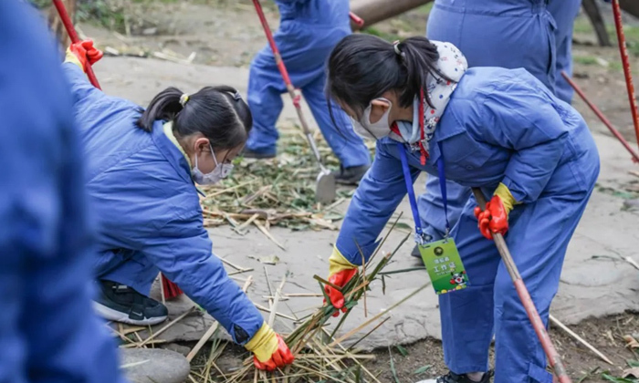 研學(xué)冬令營(yíng)活動(dòng)價(jià)格