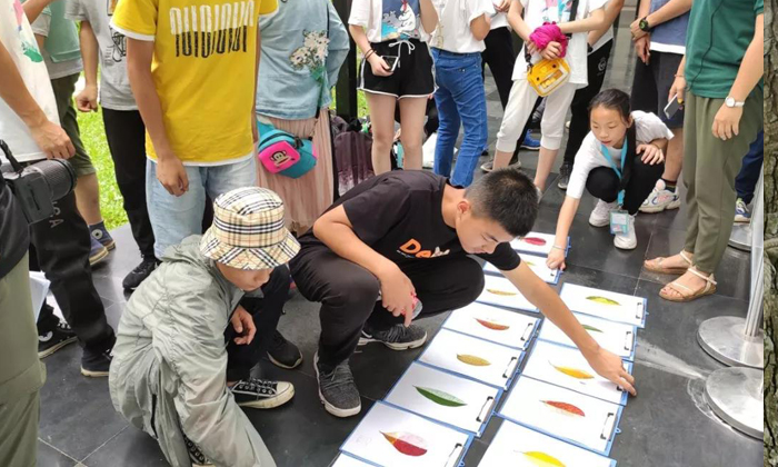 小學生研學夏令營有哪些