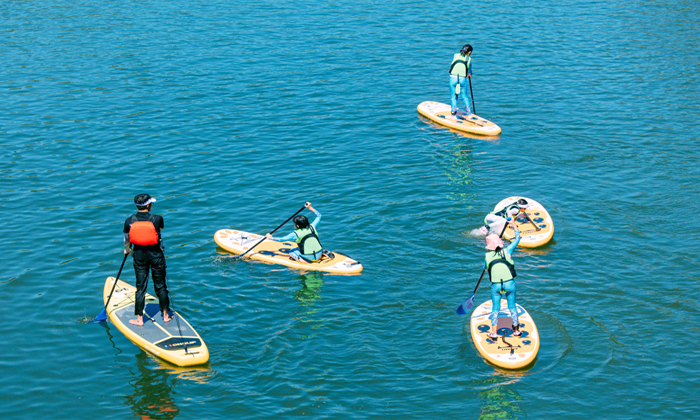 小學生研學夏令營有哪些