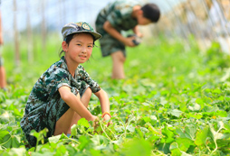 宜昌搞得好的夏令營(yíng)該去哪里的好