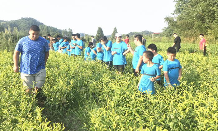 宜昌戶外探索夏令營(yíng)帶領(lǐng)孩子挑戰(zhàn)大自然！.jpg