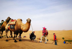 2024銀川沙漠夏令營的活動有哪些？