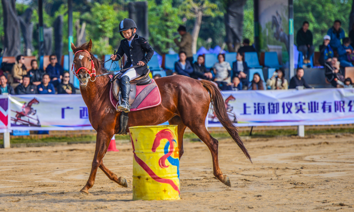 馬術(shù)表演