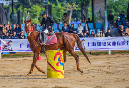 胤龍馬術(shù)夏令營的課程內(nèi)容都有哪些？