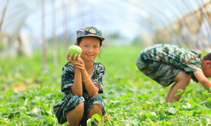 中學(xué)生游學(xué)夏令營機構(gòu)推薦