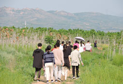 參加游學(xué)夏令營(yíng)感受森林自然教育的魅力
