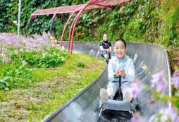 如何選擇游學夏令營才能讓孩子收獲滿滿的成長體驗呢？