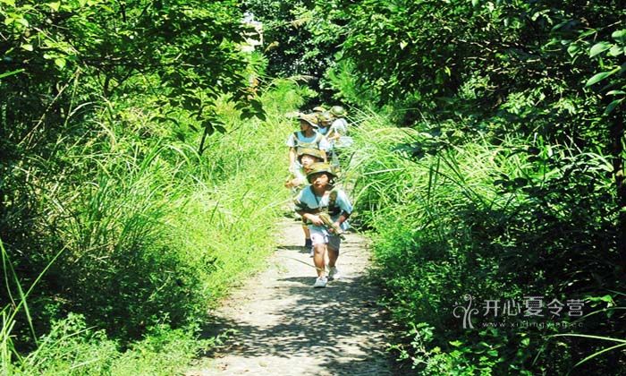  參加游學夏令營攻略