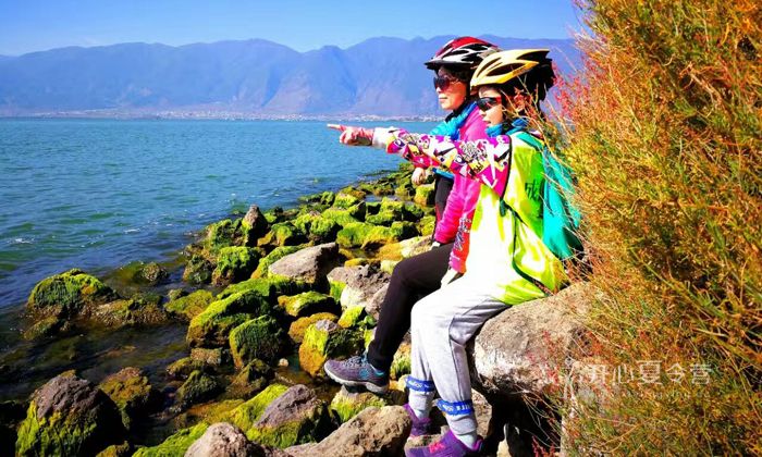 親子游學(xué)夏令營(yíng)