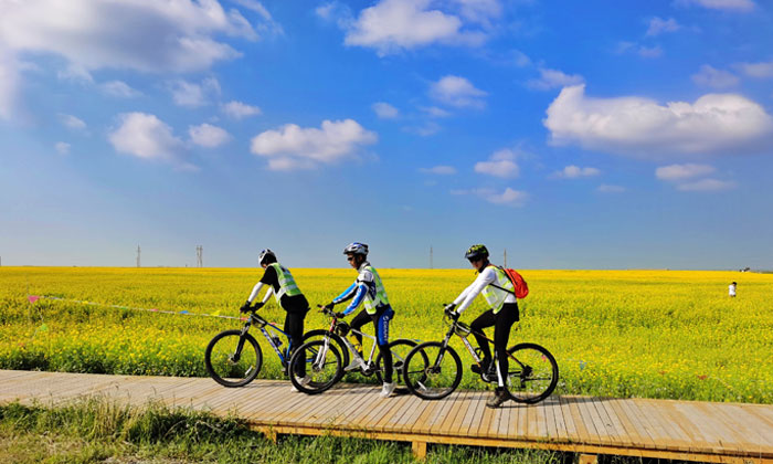 國內(nèi)游學(xué)夏令營怎么樣