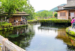 初高中生參加普通夏令營和游學營有什么區(qū)別？