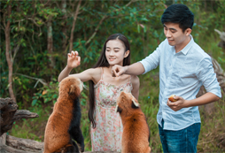 云南7天親子探索營(yíng)和你一起了解野生動(dòng)物