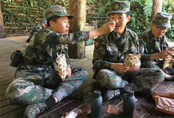 參加云南生存夏令營的收獲有哪些？