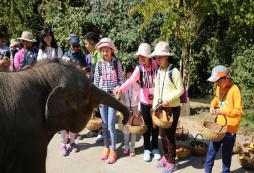 參加云南青少年夏令營一起走進(jìn)神奇的云南