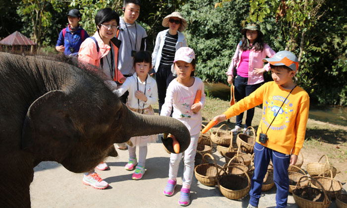 云南研學(xué)夏令營去哪兒好