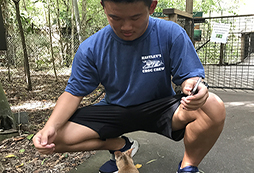 不想嚇跑小動(dòng)物所以不敢動(dòng)