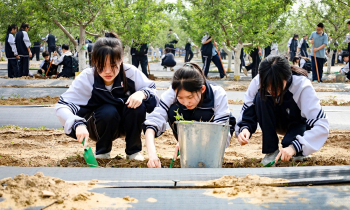 挖土