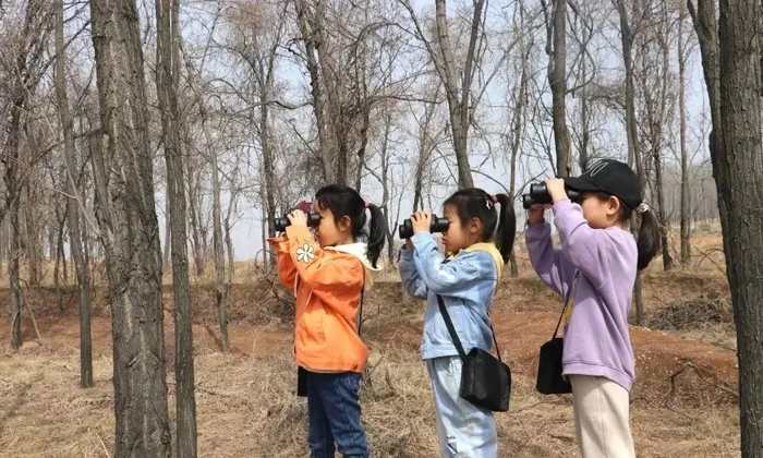 鳥類觀察
