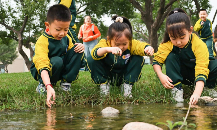 與水中生物親密接觸