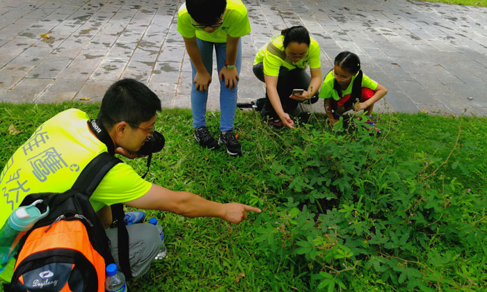 浙江麗水夏令營有哪些