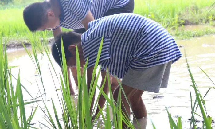 海鹽哪里有夏令營(yíng)