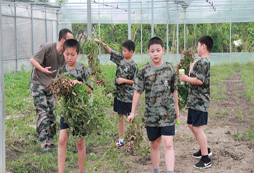 浙江暑期夏令營2018傾心推出半軍事半減肥課程