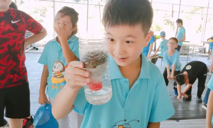 浙江小學生夏令營哪個好