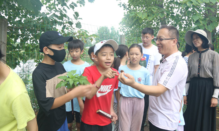 鄭州兒童夏令營(yíng)哪家好