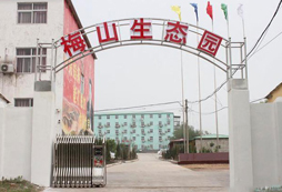 鄭州梅山生態(tài)園拓展訓(xùn)練基地