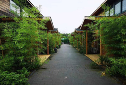 鄭州蘇荷湖拓展訓練基地