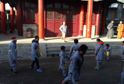 河南武術(shù)小英雄21天夏令營