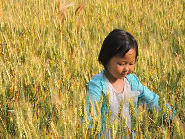 暑期參加鄭州國學(xué)夏令營需要準備些什么.jpg