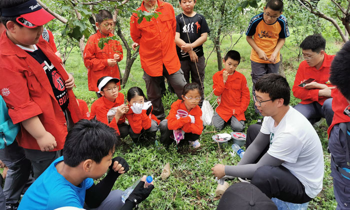 鄭州青少年游學夏令營.jpg
