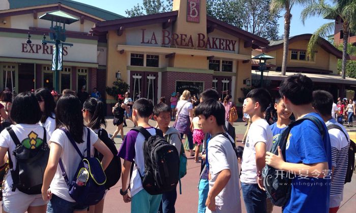 鄭州學能夏令營