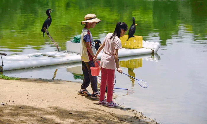 鄭州游學(xué)夏令營(yíng).gif