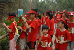 鄭州游學(xué)夏令營(yíng)活動(dòng)費(fèi)用包括什么？