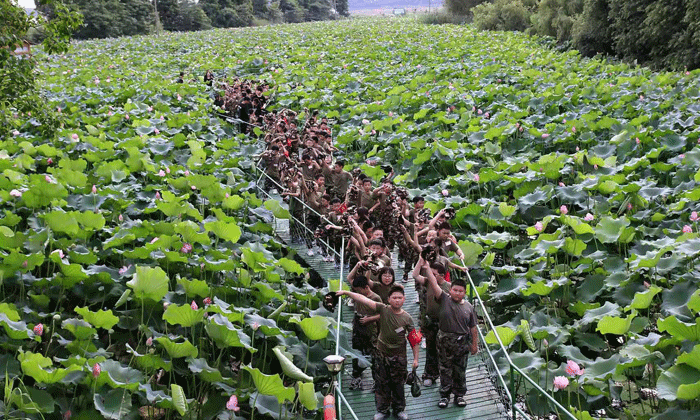 中學生勵志夏令營有哪些