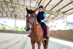 中學(xué)生馬術(shù)夏令營(yíng)能培養(yǎng)孩子貴族氣質(zhì)嗎？