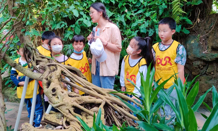 中小學(xué)生夏令營價格