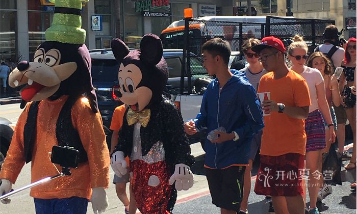 高中畢業(yè)生夏令營