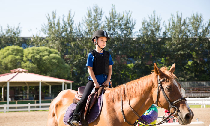 中學(xué)生體育夏令營多少錢