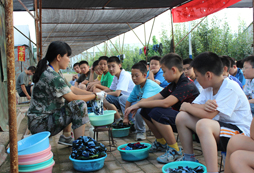 周邊軍事營中的拓展活動有哪些？
