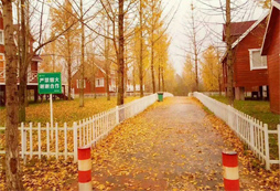 參加舟山少兒國學(xué)夏令營的費用貴嗎