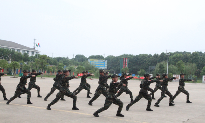 軍體拳基礎(chǔ)練習(xí)