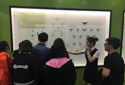 崢嶸年華夏令營(yíng)公益研學(xué)課程有哪些特色活動(dòng)？