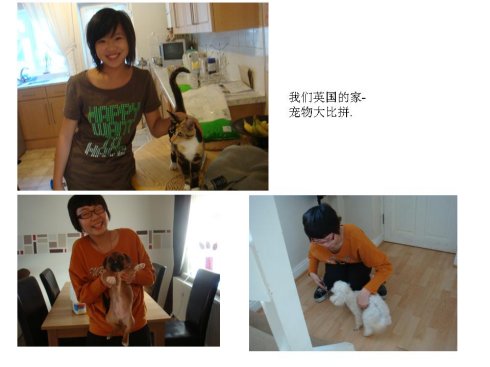 2009ӢӢ(gu)RD(gu)H()