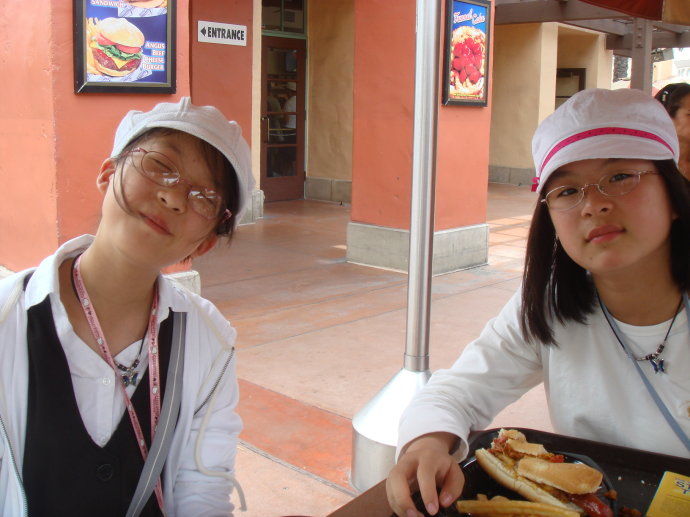 2009ӢfɽF(tun)ɼ֮