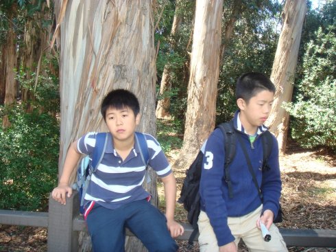 2009ӢfɽF(tun)֮ݴW(xu)У^