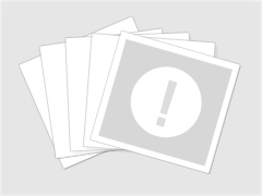 2010efΌW(xu)f133tgʥŰF(tun)